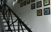Туры в отель The Albatross, Kandy
