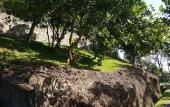 Туры в отель The Albatross, Kandy