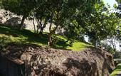 Туры в отель The Albatross, Kandy