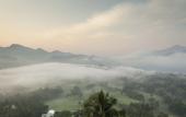 Туры в отель The Albatross, Kandy