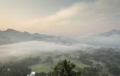 Туры в отель The Albatross, Kandy