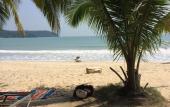 Туры в отель Corrie Chalet Pantai Cenang Langkawi