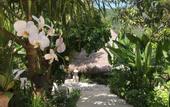 Туры в отель Twin Island Villas & Dive Resort