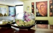 Туры в отель Jaranya Hotel