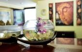 Туры в отель Jaranya Hotel