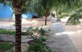 Туры в отель Cocosand Hotel