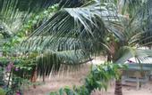 Туры в отель Cocosand Hotel