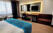 Туры в отель Teymur Continental Hotel