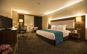Туры в отель Teymur Continental Hotel