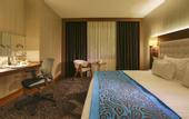 Туры в отель Teymur Continental Hotel