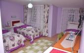 Туры в отель Hotel Guler
