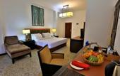 Туры в отель Ashford Hotel