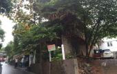 Туры в отель Hotel Mango Garden