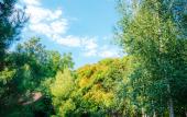 Туры в отель Blagodat Hotel