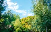 Туры в отель Blagodat Hotel