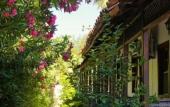 Туры в отель Dalyan Yunus Hotel