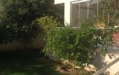 Туры в отель Zeytin Apart Otel