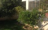 Туры в отель Zeytin Apart Otel