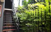 Туры в отель Varinda Hostel