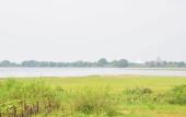 Туры в отель Sadula Holiday Resort - Anuradhapura