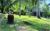 Туры в отель Coconut Island