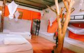 Туры в отель Langchia Home - Hostel