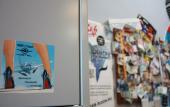 Туры в отель Sky Hostel