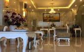 Туры в отель Tulip Hotel 2