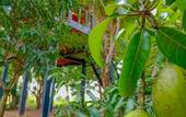Туры в отель Kumbura Eco Lodge