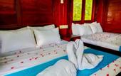 Туры в отель Kumbura Eco Lodge