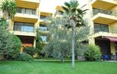 Туры в отель Palm Court Suites