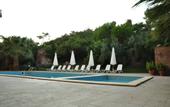Туры в отель Palm Court Suites