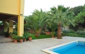 Туры в отель Palm Court Suites