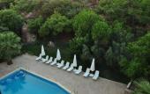 Туры в отель Palm Court Suites