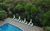 Туры в отель Palm Court Suites