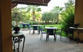 Туры в отель Palm Court Suites