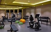 Туры в отель ibis Moscow Centre Bakhrushina Hotel