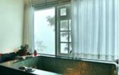 Туры в отель Spicetree Munnar