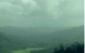 Туры в отель Spicetree Munnar