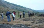 Туры в отель Spicetree Munnar