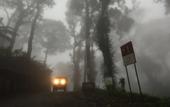 Туры в отель Spicetree Munnar