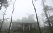 Туры в отель Spicetree Munnar