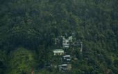 Туры в отель Spicetree Munnar