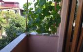 Туры в отель ApartHotel Otin