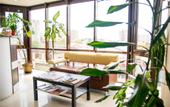 Туры в отель Rio Mini-Hotel