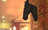 Туры в отель Kapsulniy Boxtel-Hostel