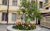 Туры в отель Kapsulniy Boxtel-Hostel