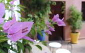 Туры в отель Riad Al Badia