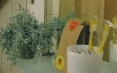 Туры в отель MonrepoApart Guest house