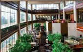 Туры в отель Xiamen International Conference Center Hotel